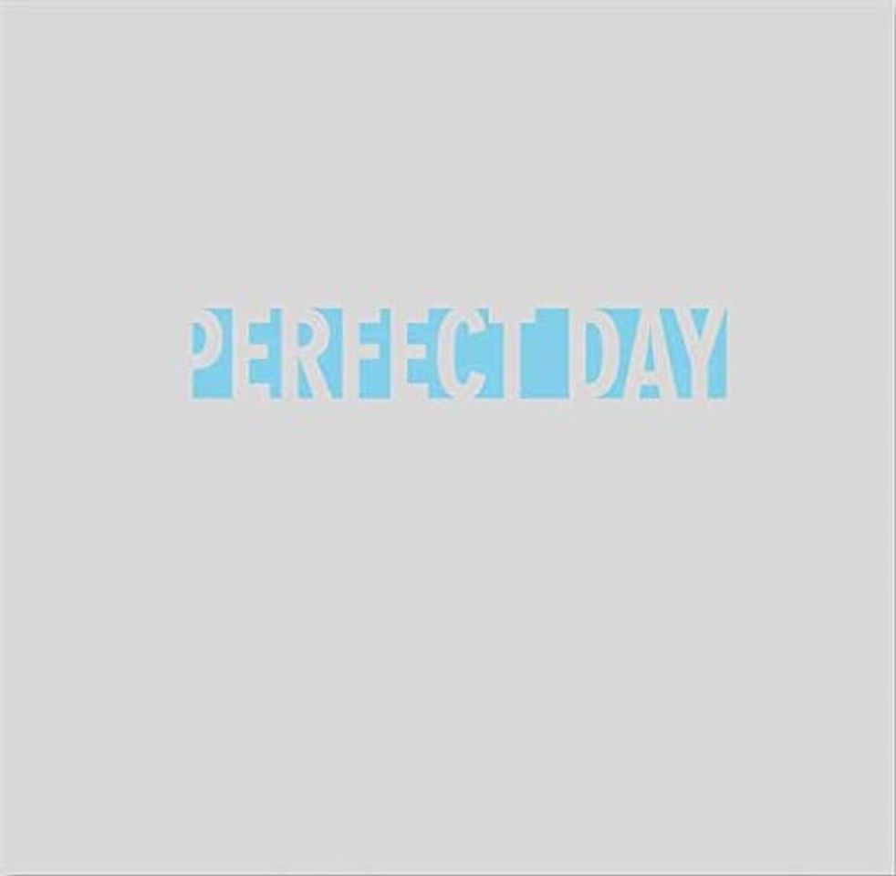 Libro The Perfect Day