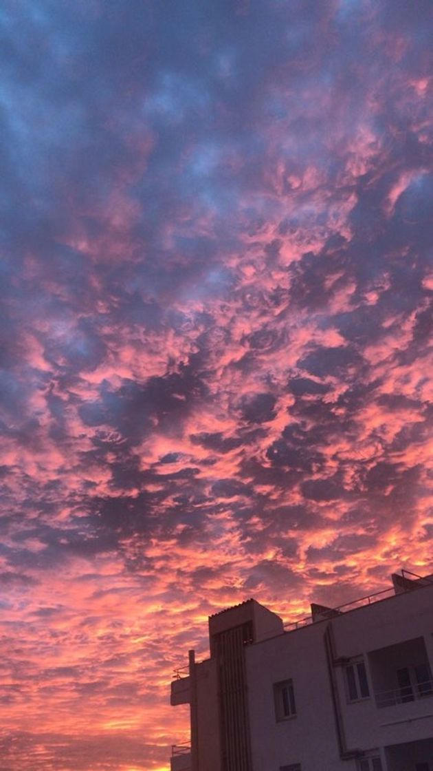 Social Sky 