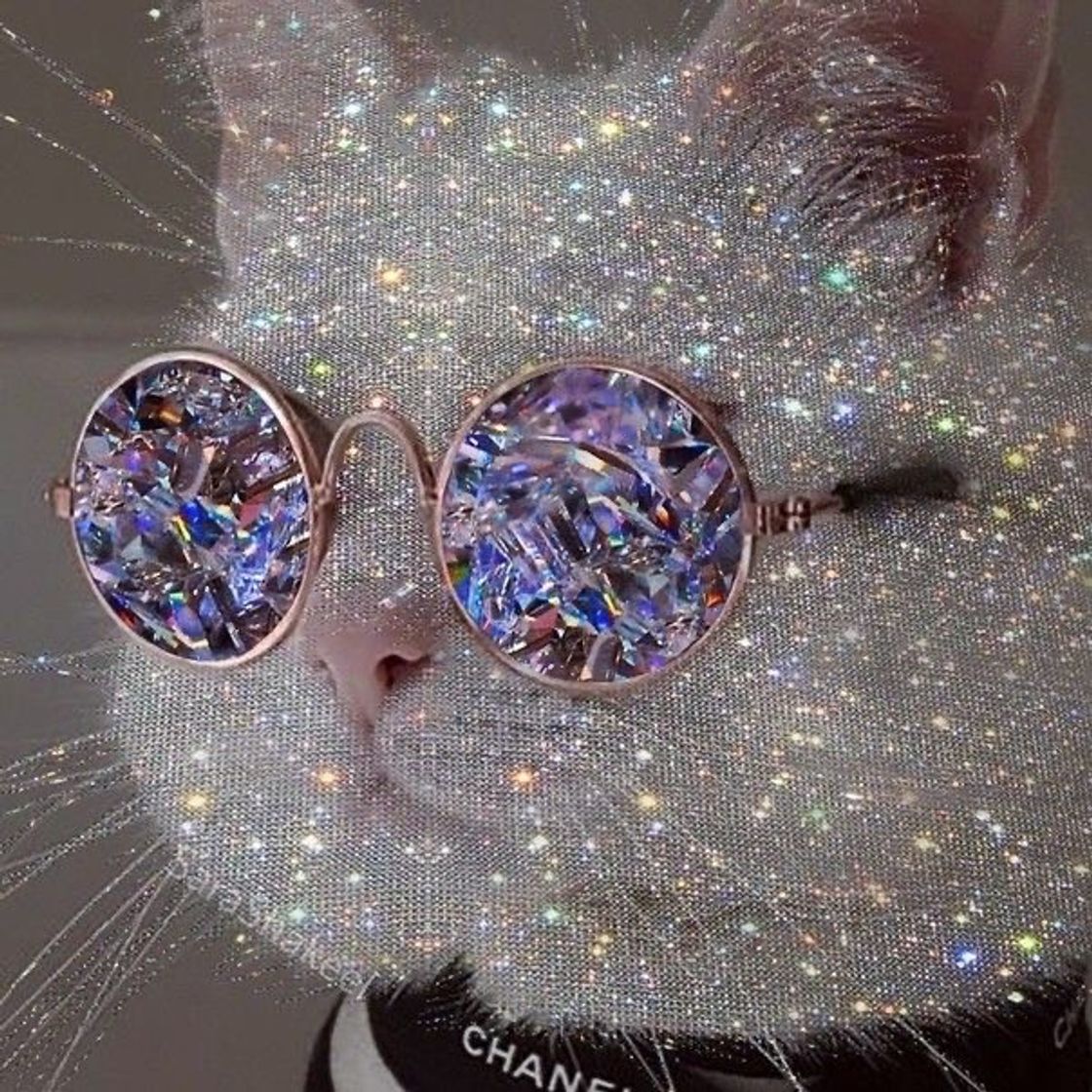 Social GLITTER CAT