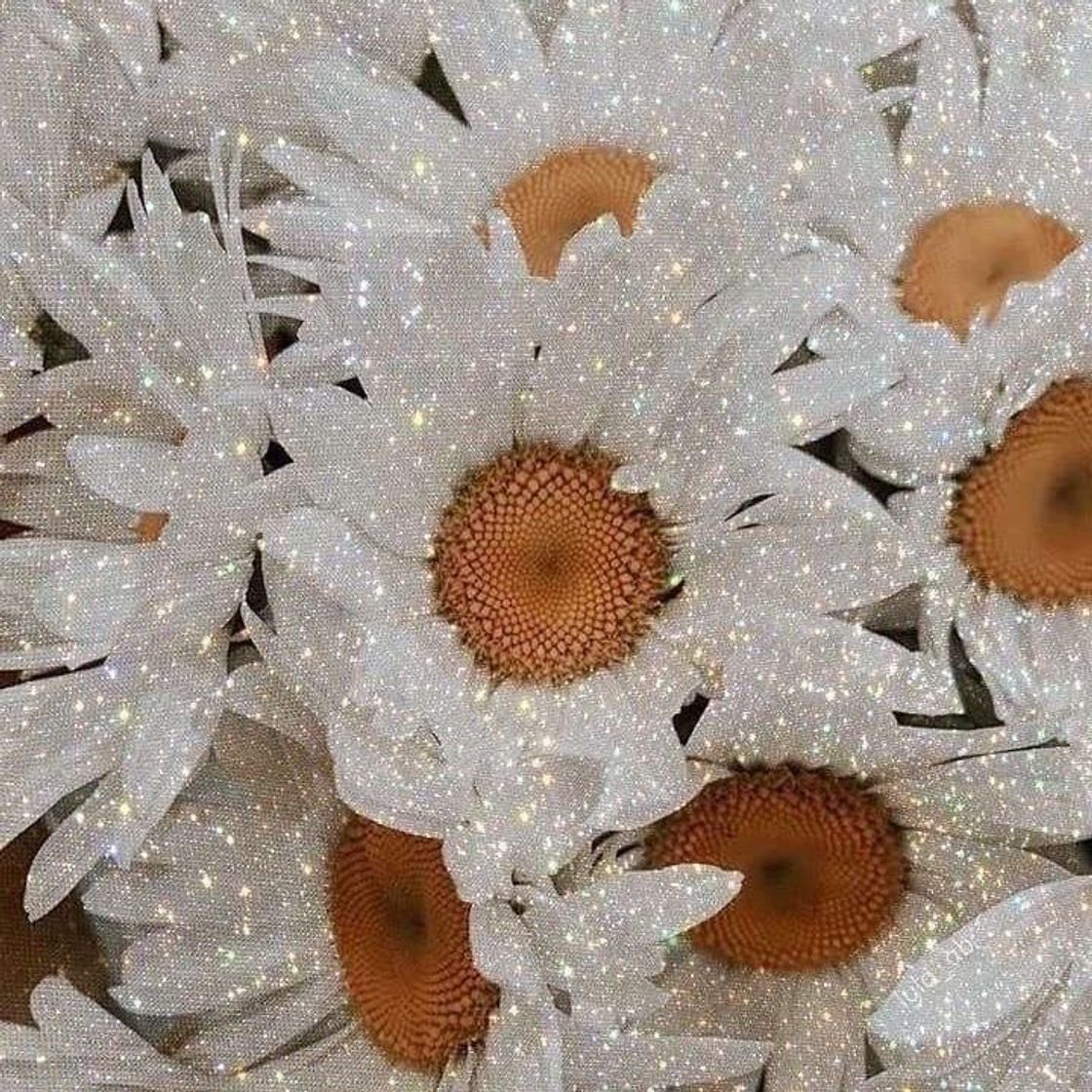 Social FLOWERS