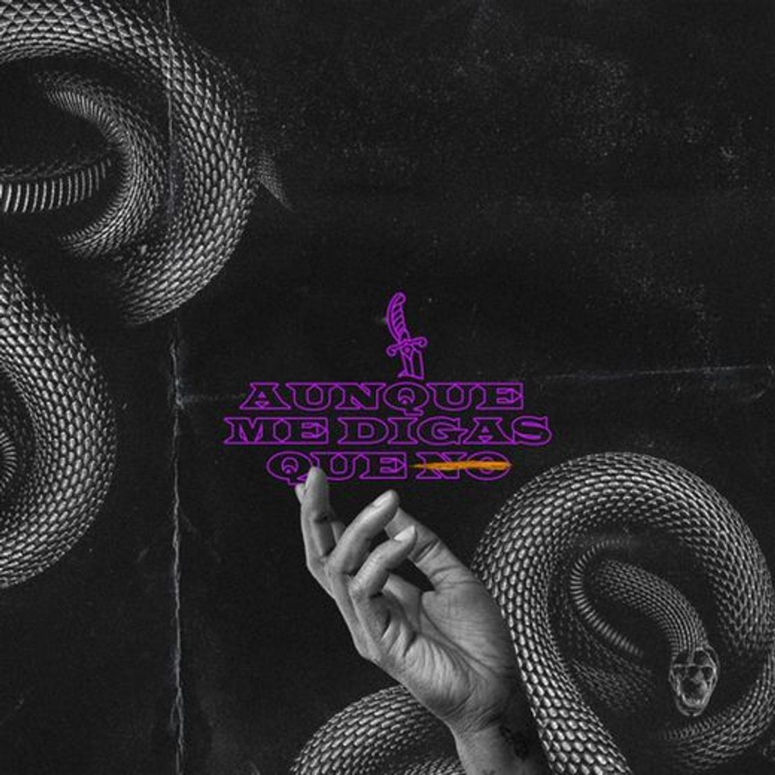 Canción Aunque me digas que no