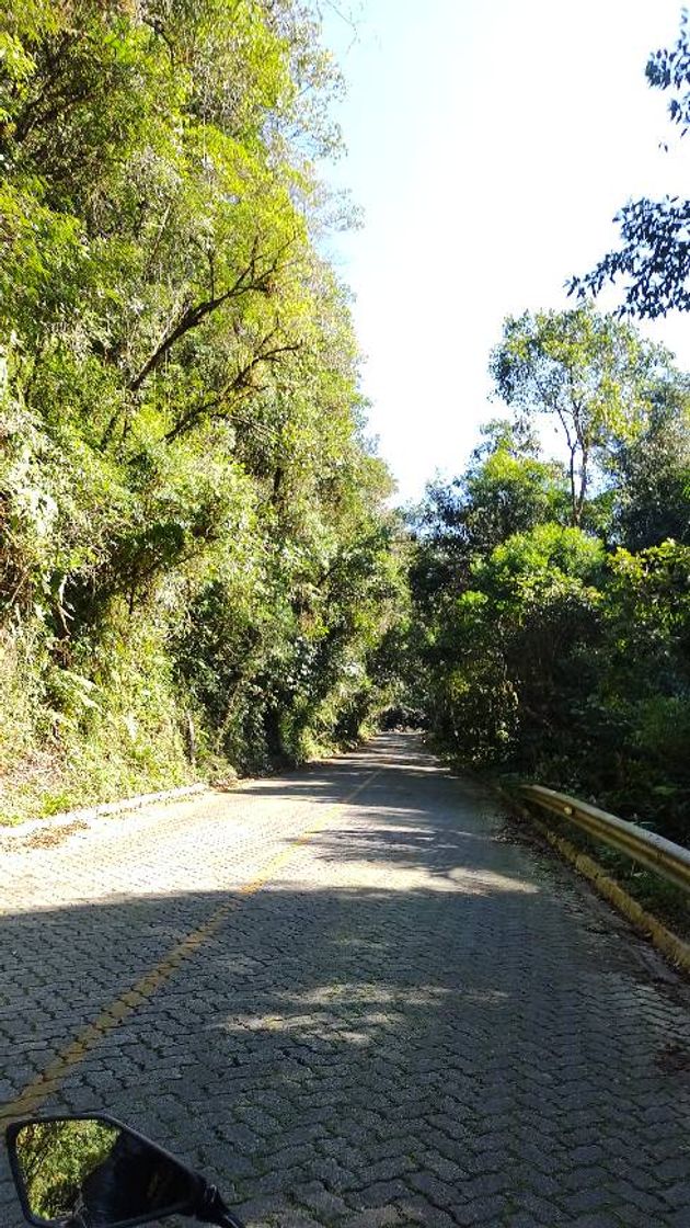 Lugares Parque Estadual Carlos Botelho