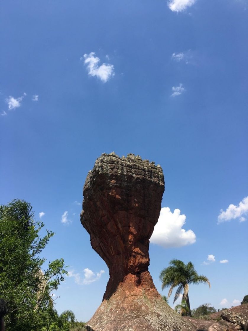 Place Parque Estadual de Vila Velha