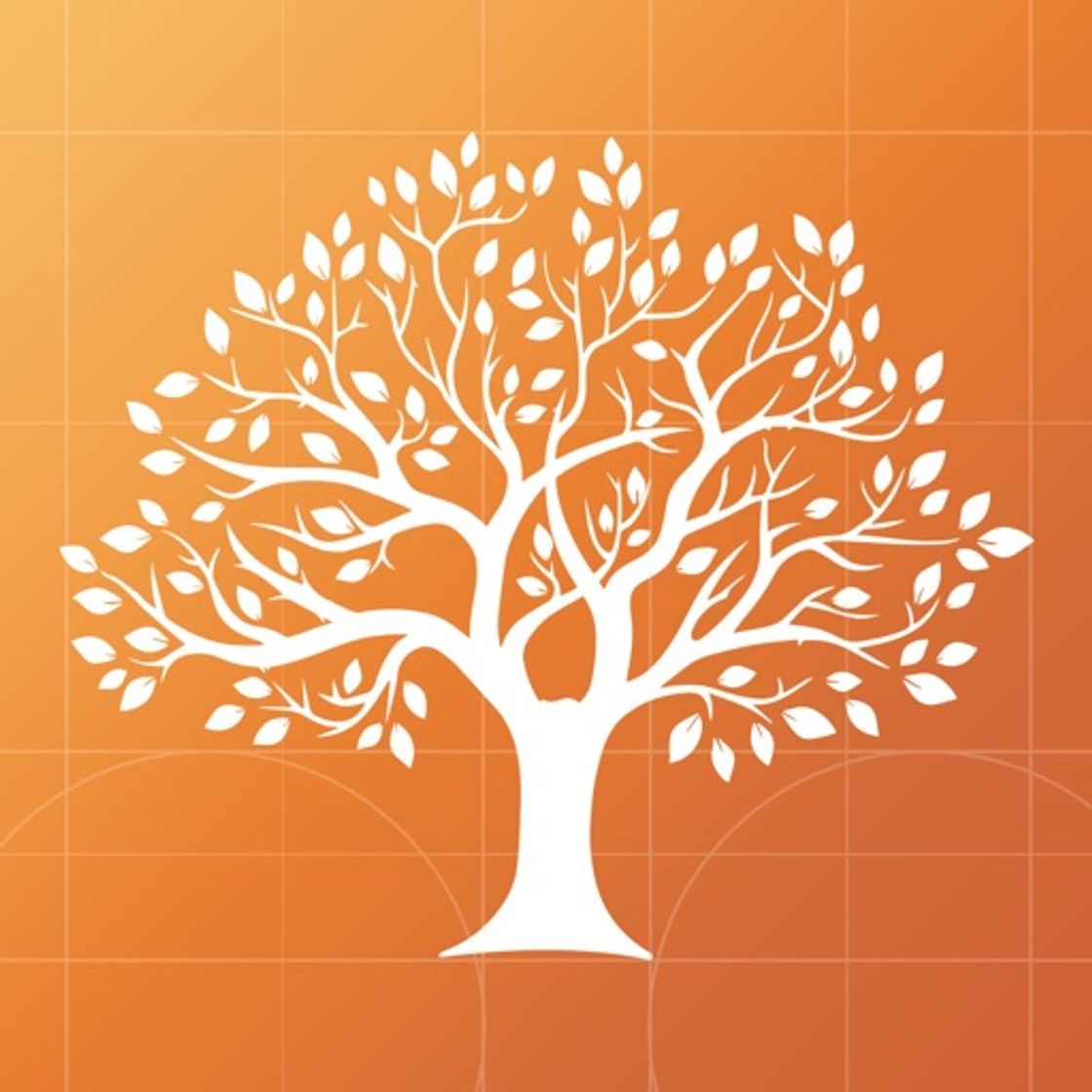 App MobileFamilyTree 9