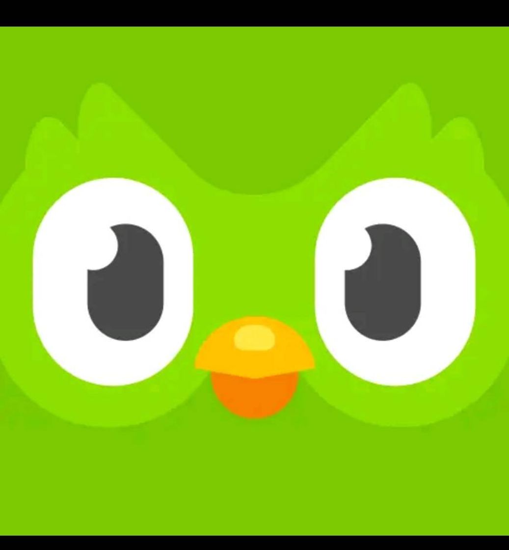 App Duolingo: aprende Idiomas