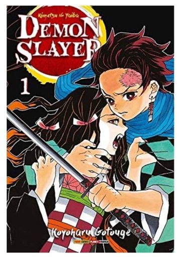 Demon Slayer - Kimetsu No Yaiba Vol 1

