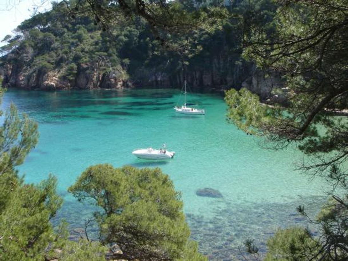 Place Platja d'Aiguablava