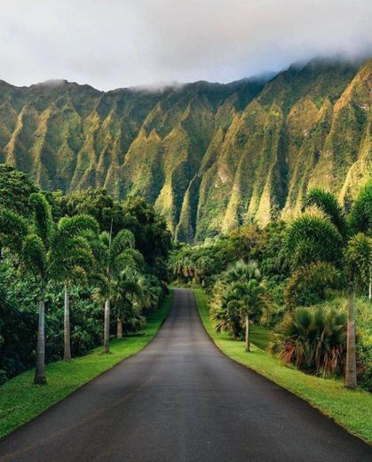 Hawaii 