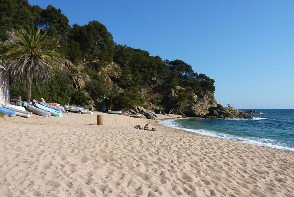 Lugares Cala Canyelles