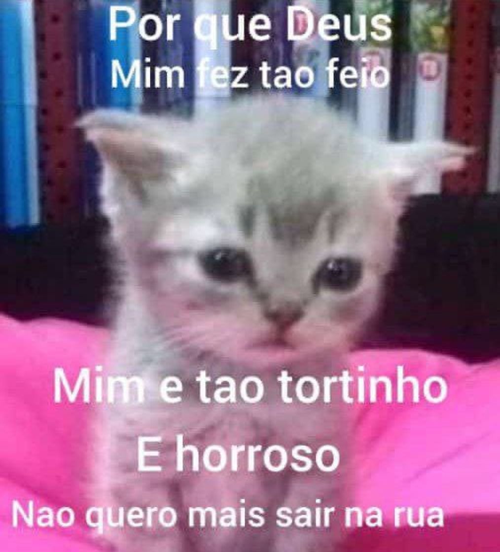 Social Kkkkkrying