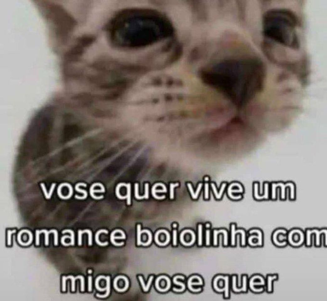 Social Vose quer 