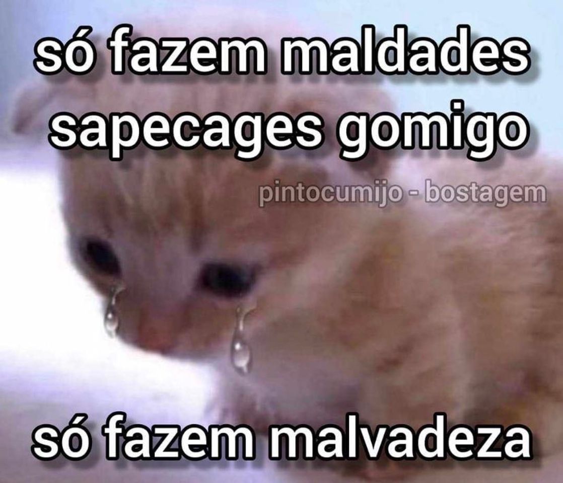 Social ☹️