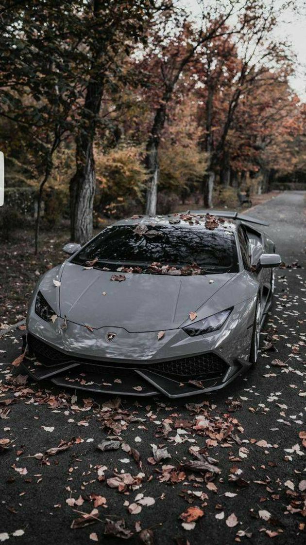 Social Carros luxuosos 