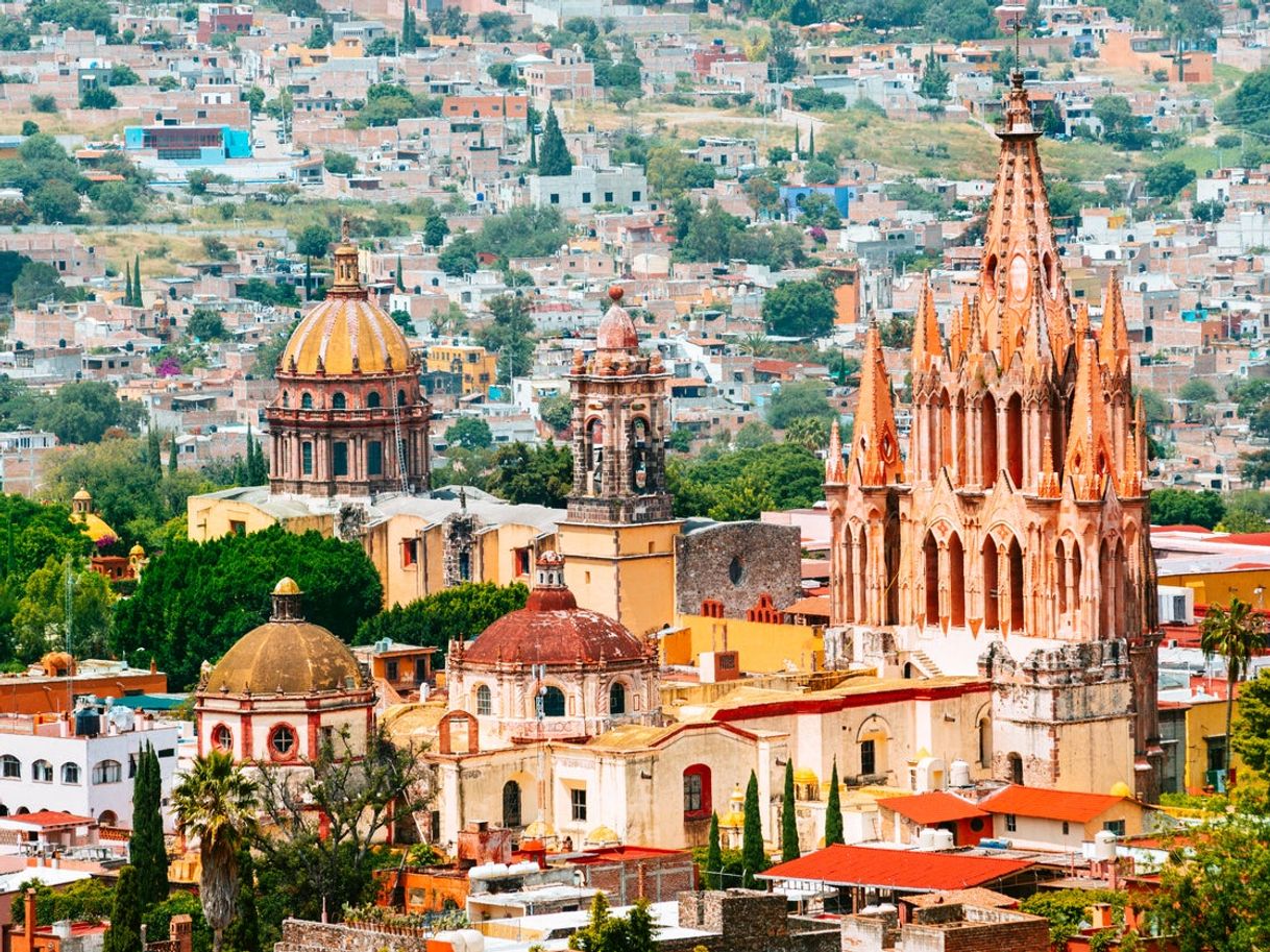 Place San Miguel de Allende