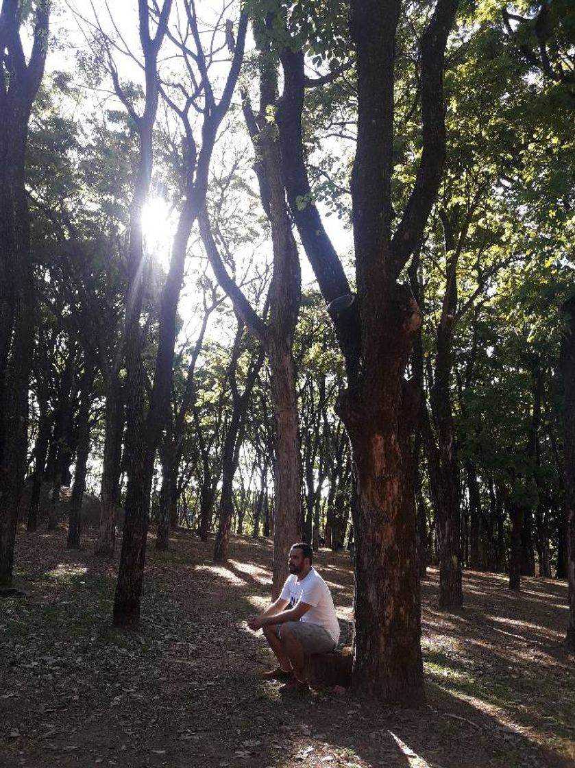 Lugar Praça do Zoológico