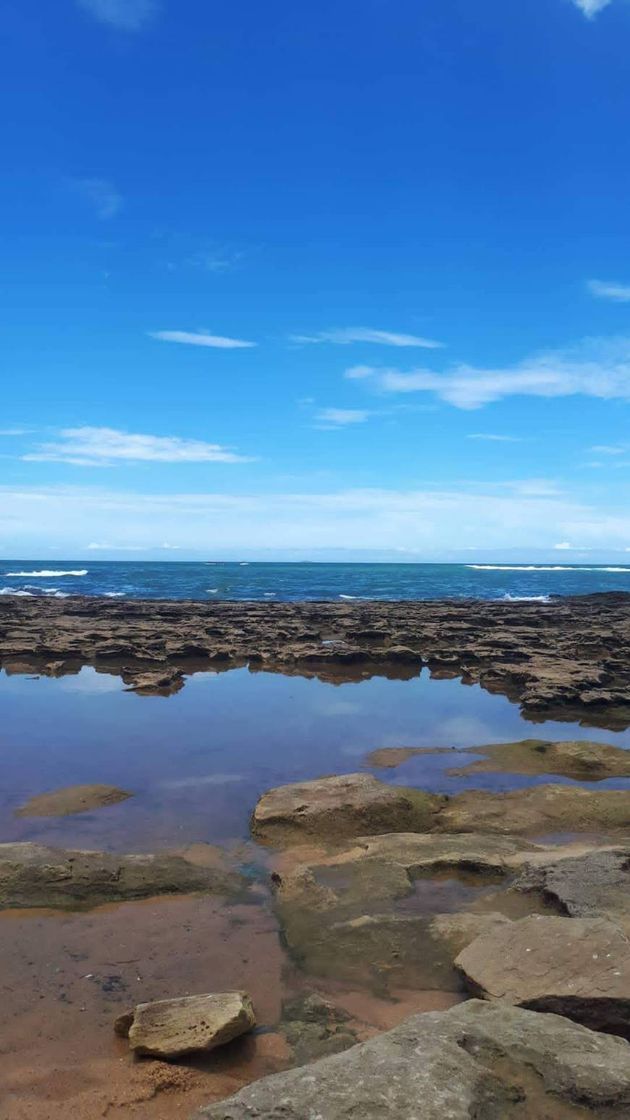 Lugar Praia das Castanheiras