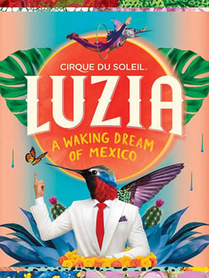 Película Cirque du Soleil: Luzia