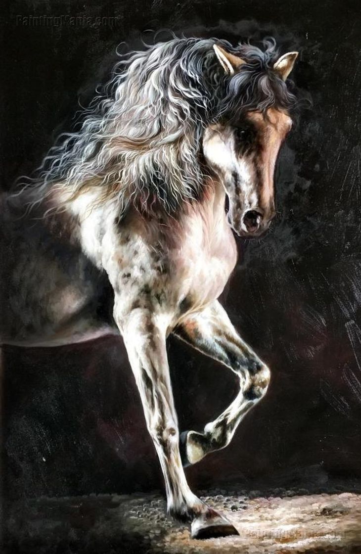 Moda The Horse with Black Background - high quality hand-painted ...