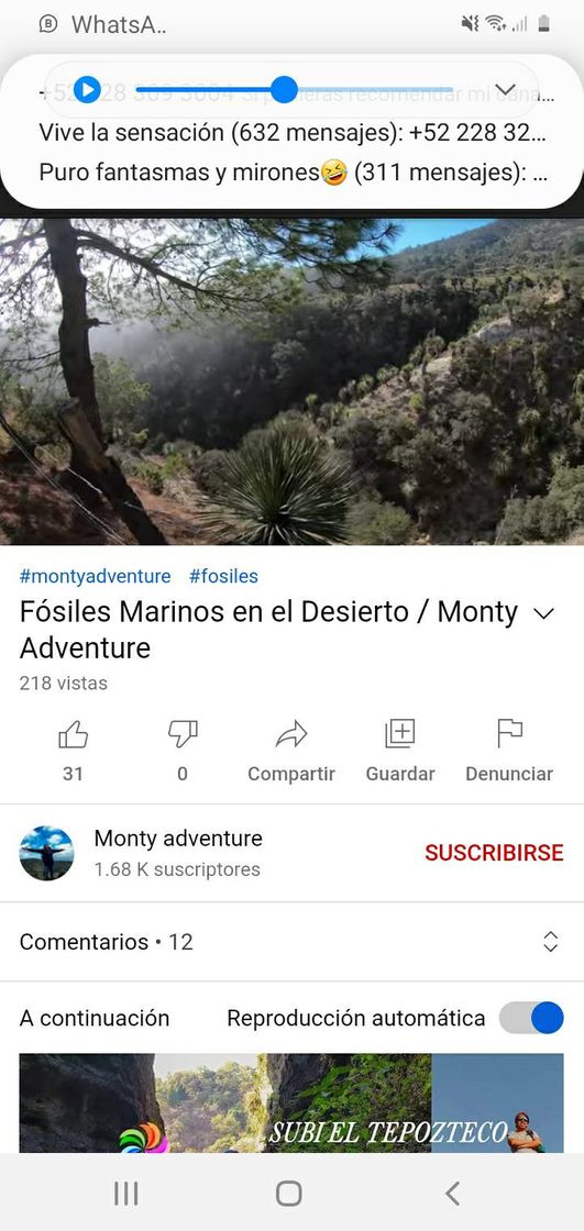 Moda Fósiles Marinos en el Desierto / Monty Adventure - YouTube