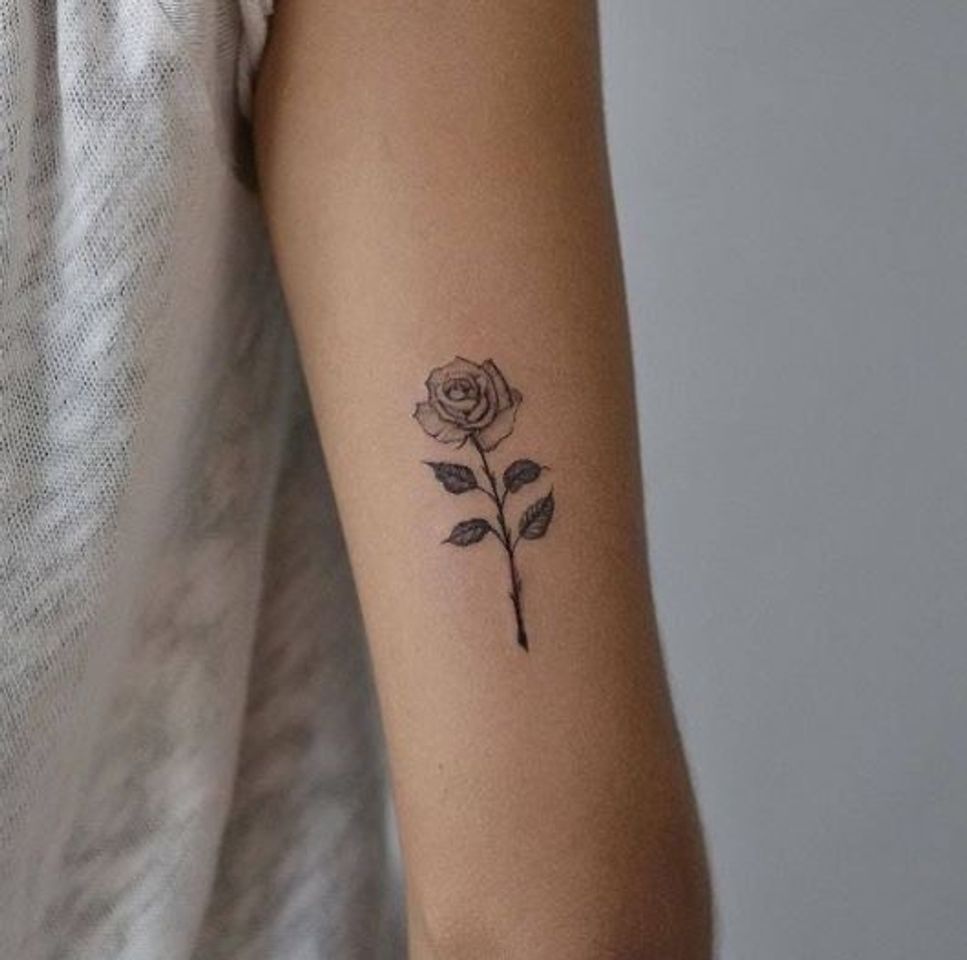 Moda Tatuagens delicadas