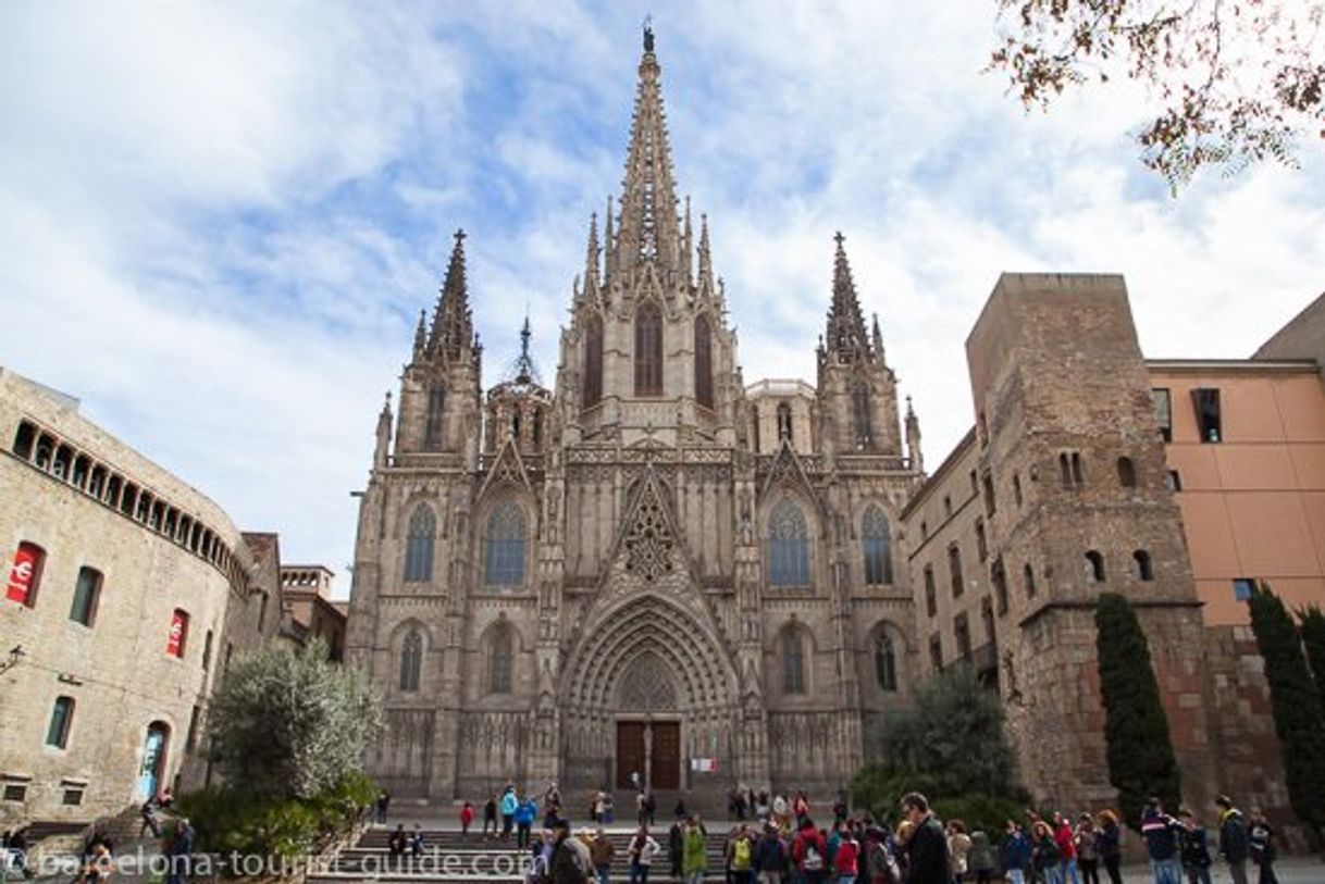 Lugar Catedral de Barcelona