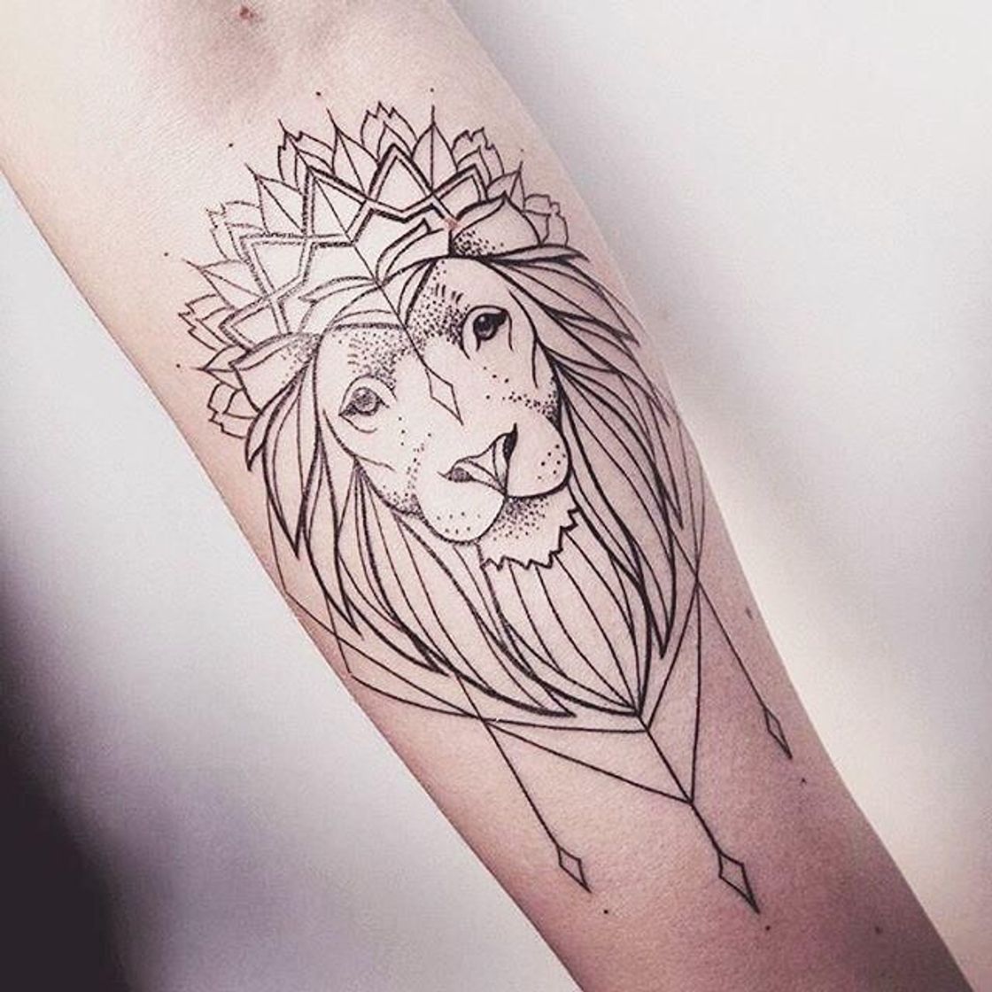 Fashion tattoo lion 🦁