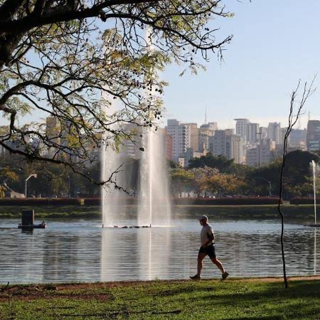 Place Ibirapuera