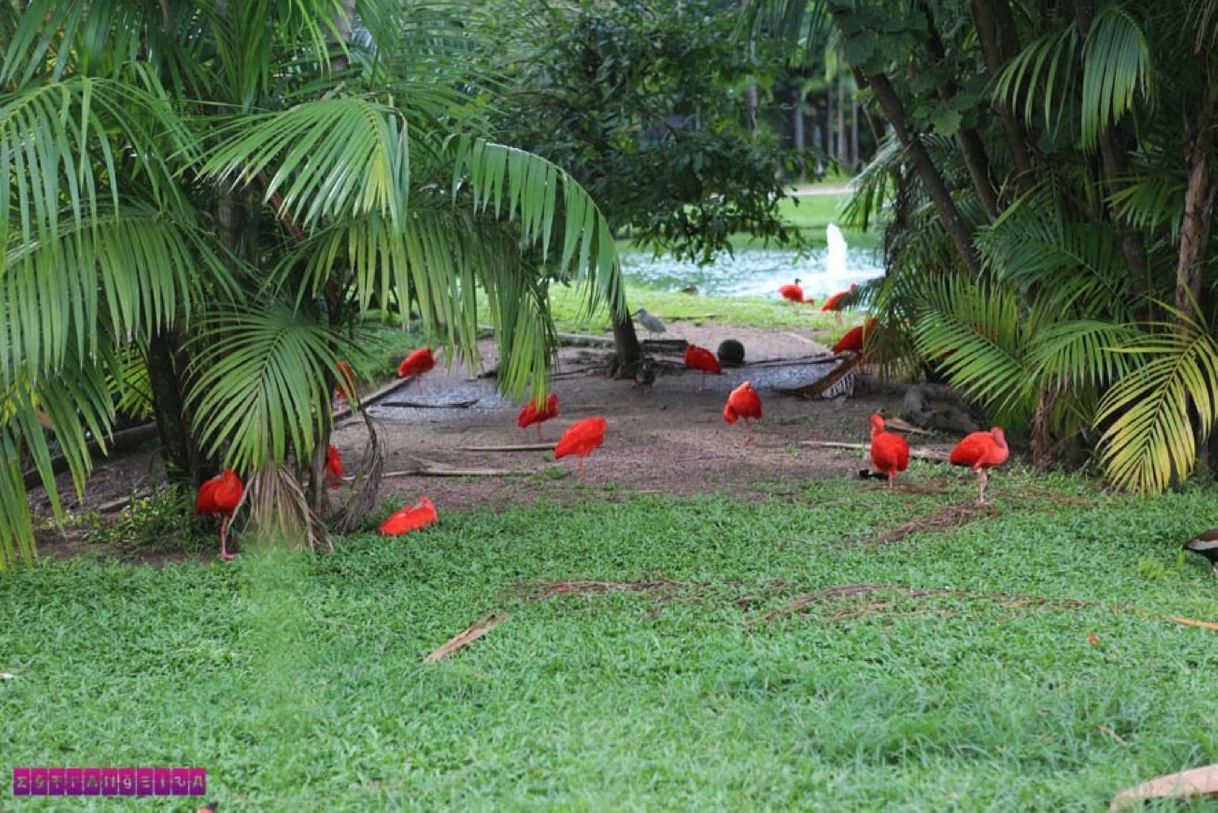 Moda Belém do Pará - roteiro de 2 dias: o que fazer em comer na cidade