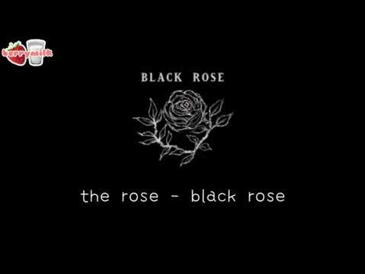 Music THE ROSE - black rose {tradução/legendado} - YouTube