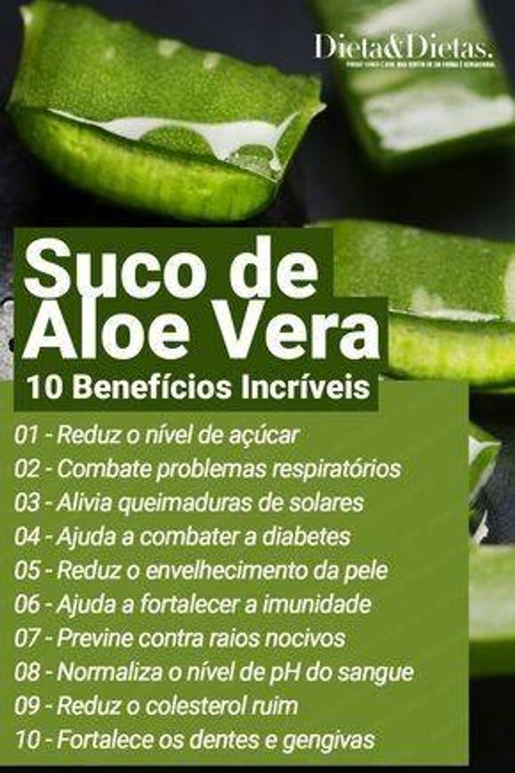 Moda Aloe Vera (Babosa) plantinha da beleza 