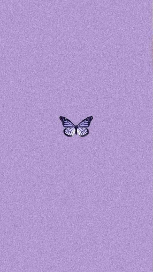 Wallpaper 🌙