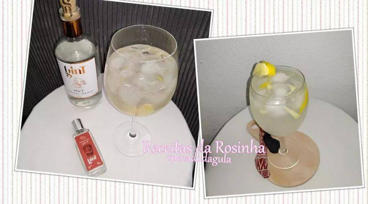 Fashion Duas receitas de gin tónica 