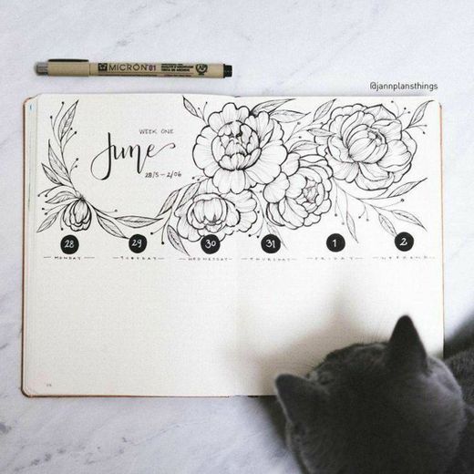 Bullet journal: tema junho