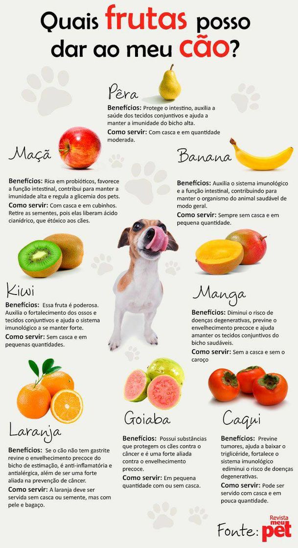 Moda Frutas que pode dar ao cachorro