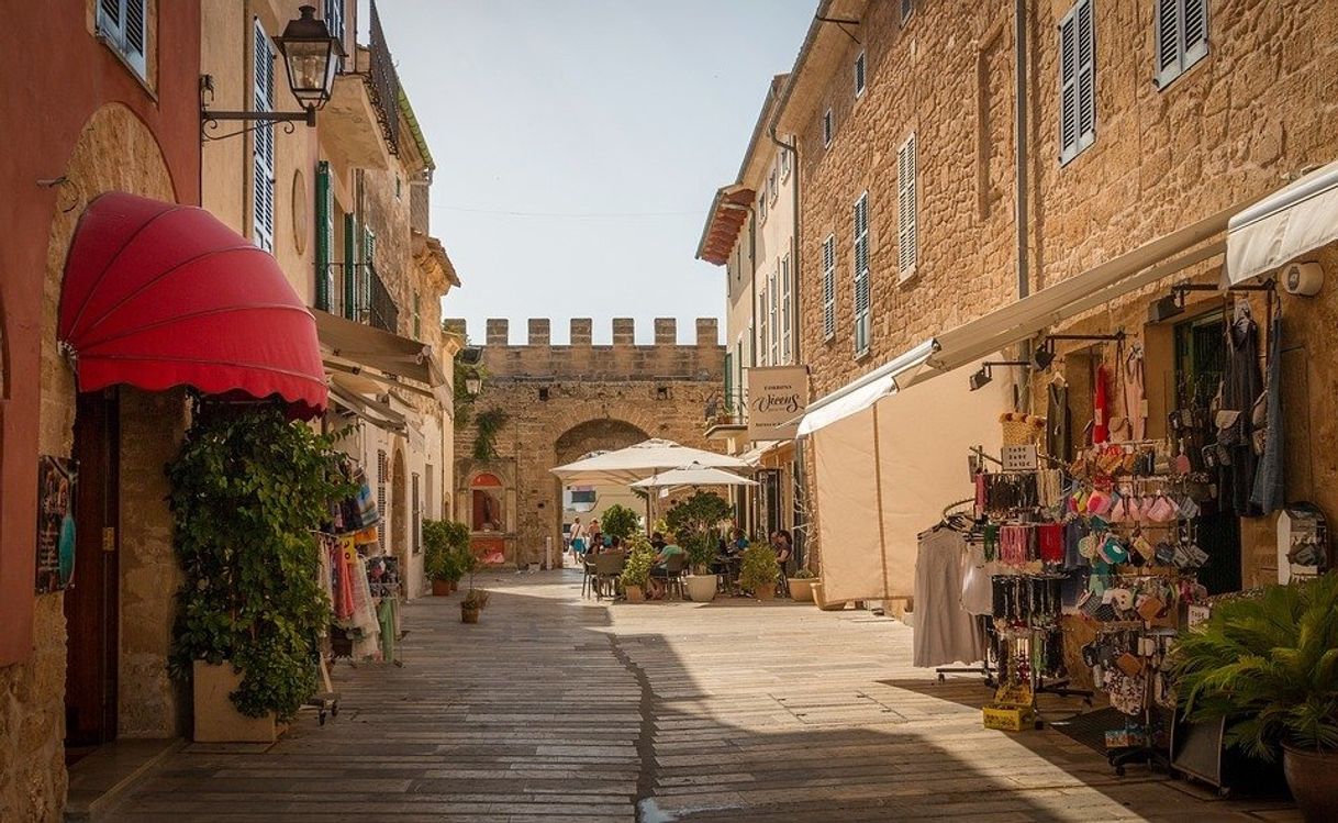 Place Alcudia
