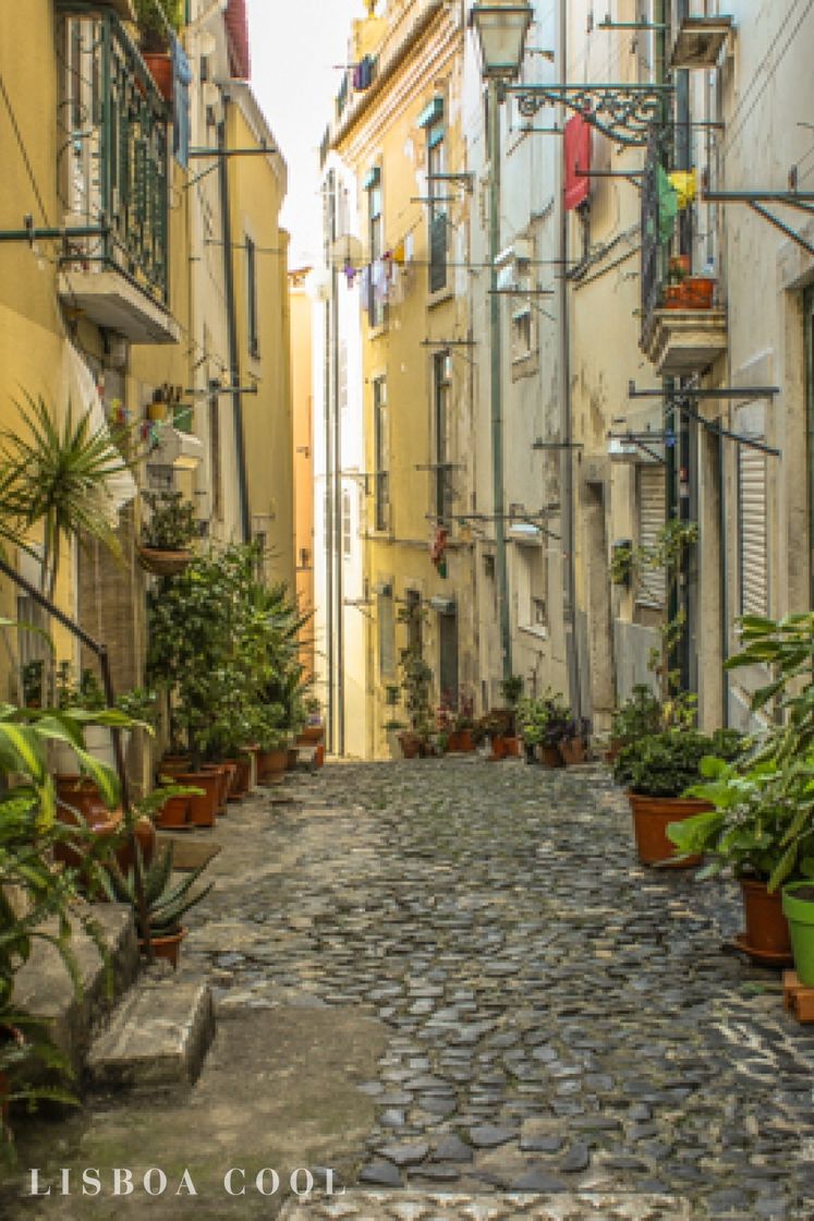 Places Alfama