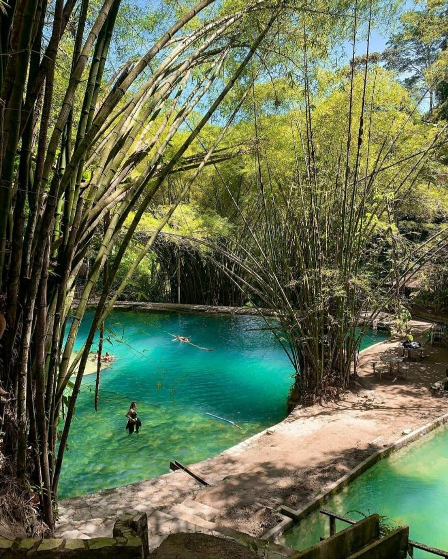 Place Santuário Ecológico Fazenda de Santa Tereza