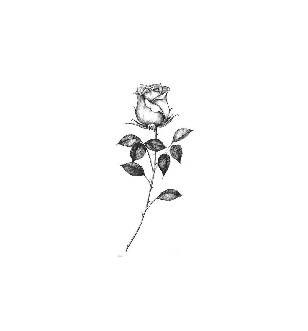 desenho livre de rosa para tatuagem