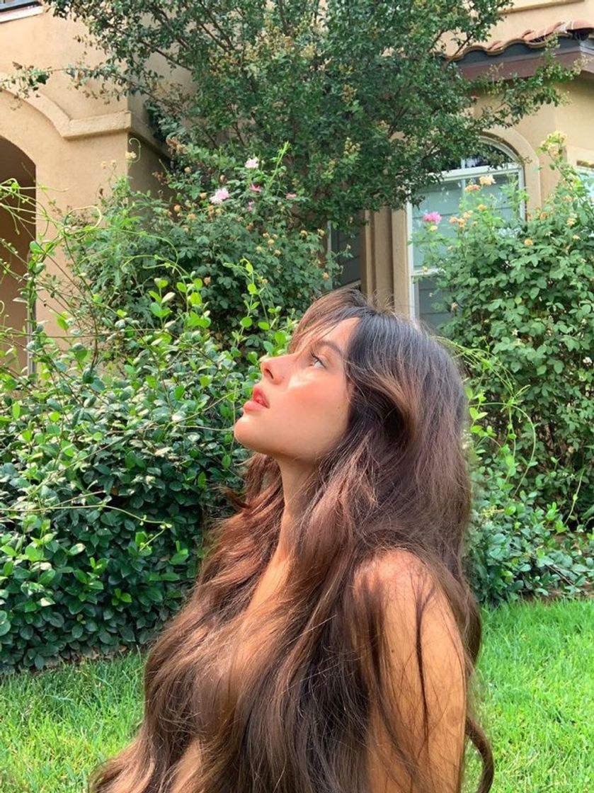 🌺