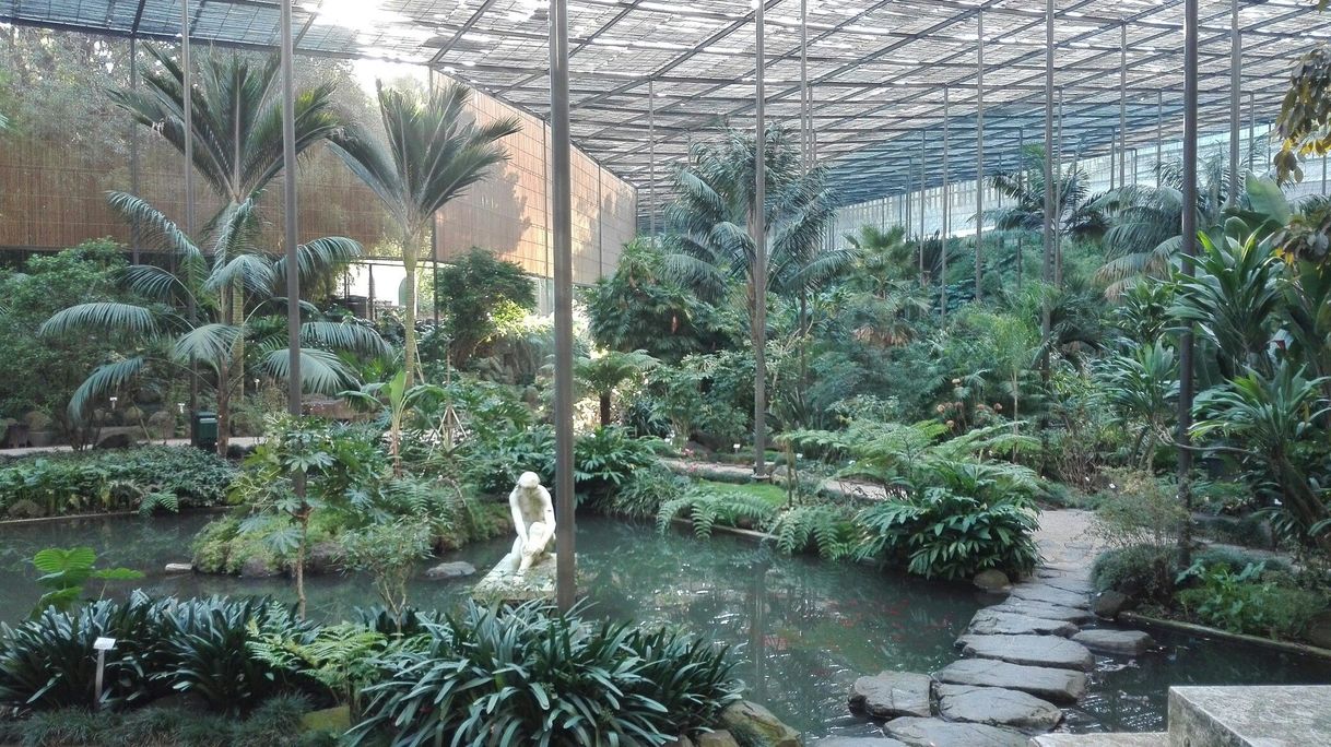 Lugar Estufa Fria