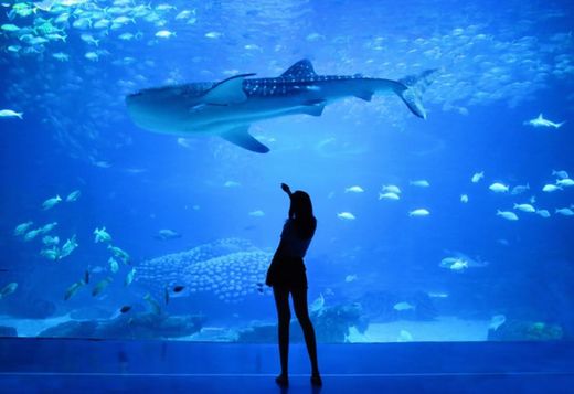 Oceanario de Lisboa