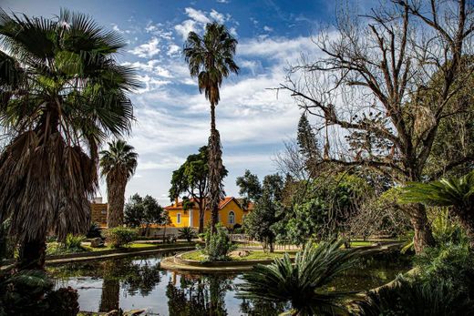 Tropical Botanical Garden