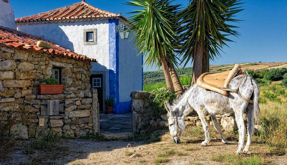Lugar Aldeia da Mata Pequena