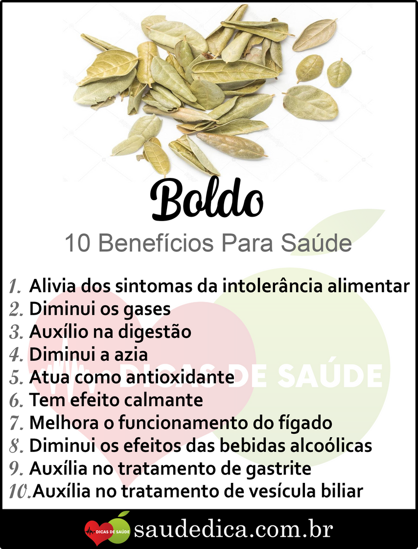 Moda 10 benefícios do Boldo