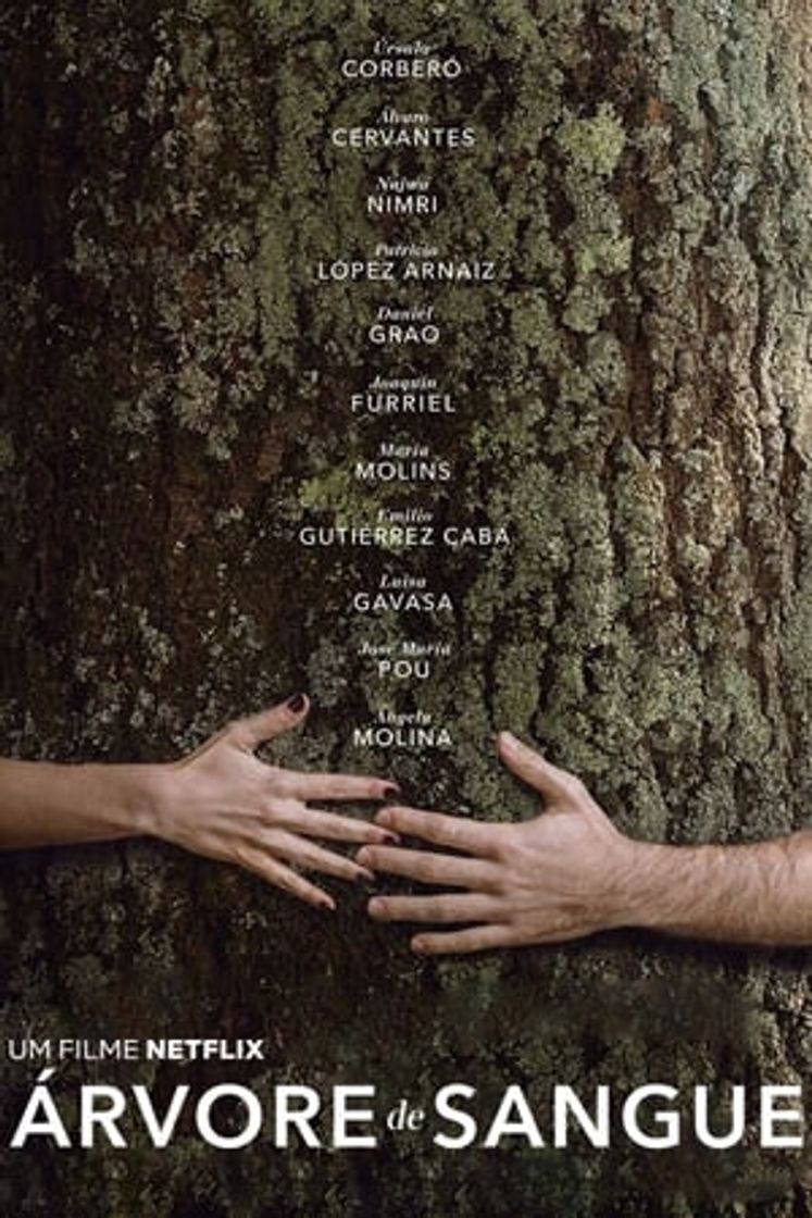 Película El árbol de la sangre