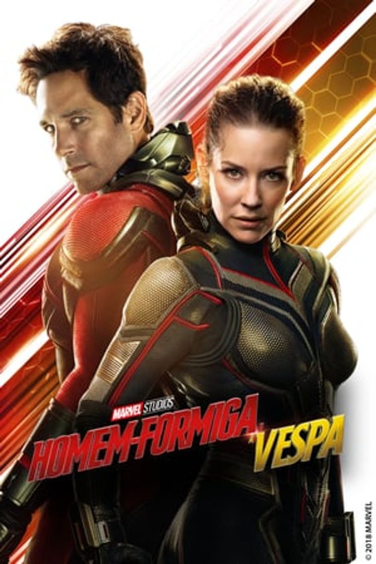 Película Ant-Man y la Avispa