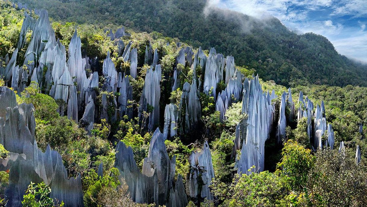 Place Gunung Mulu, Malasia: una de las maravillas del mundo