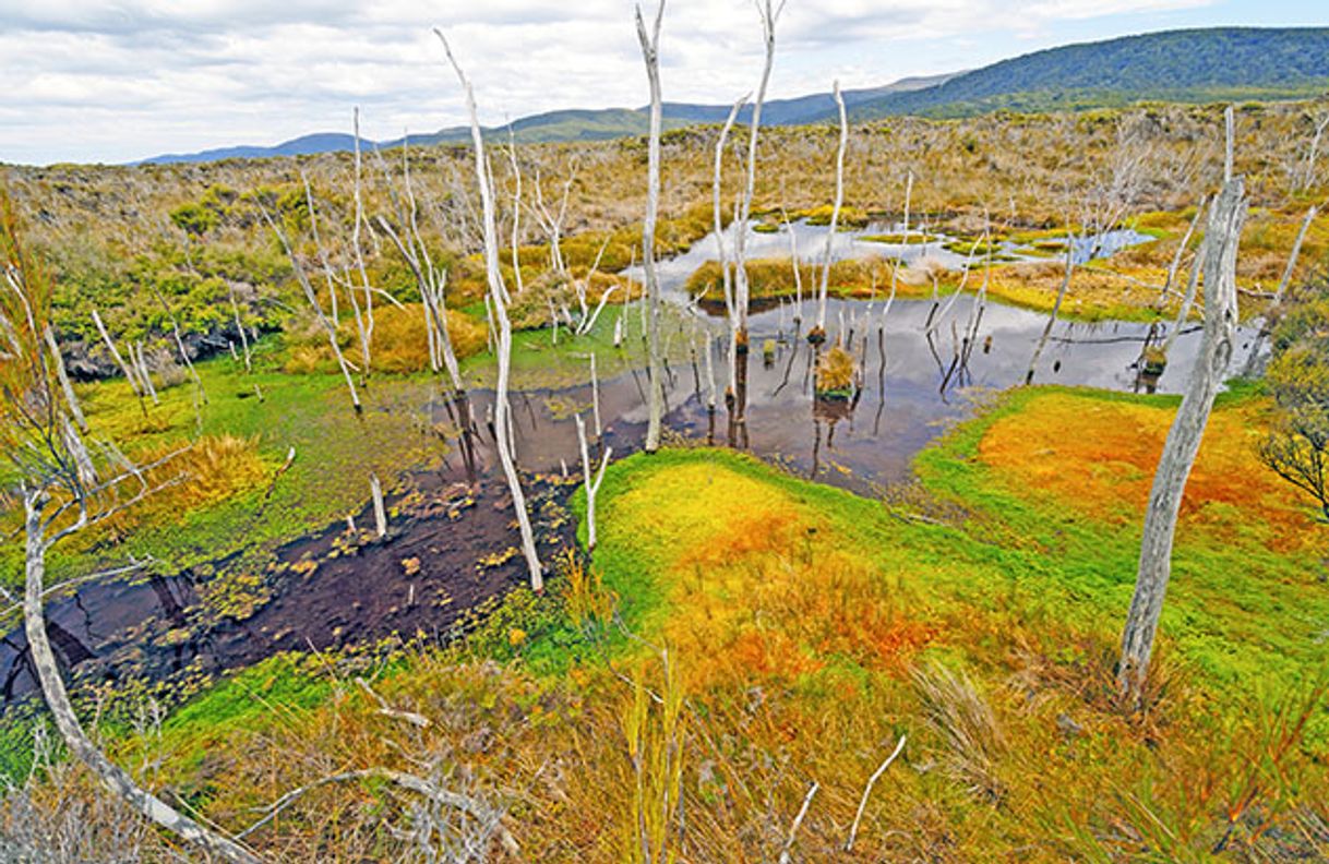 Place Isla de Stewart, Nueva Zelanda: una de las maravillas