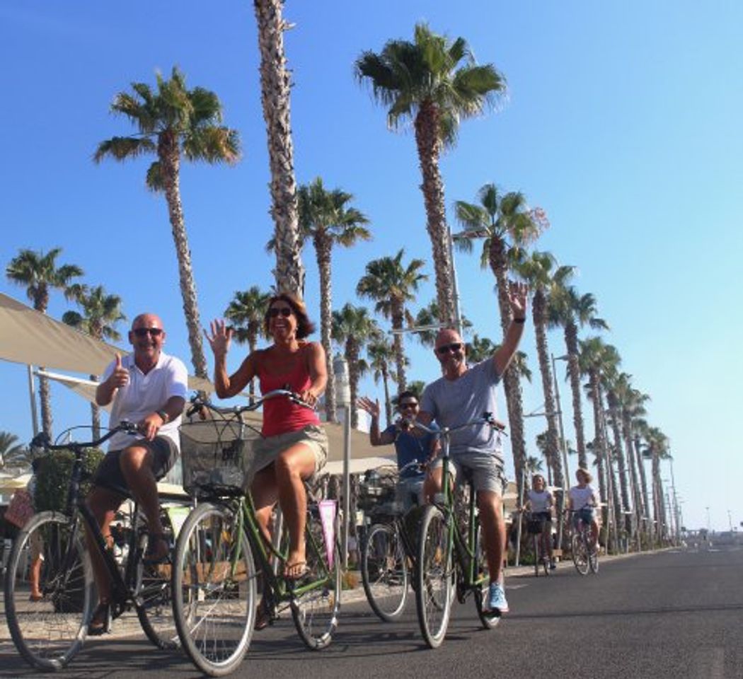 Place Málaga Bike Tours & Rentals by Kay Farrell