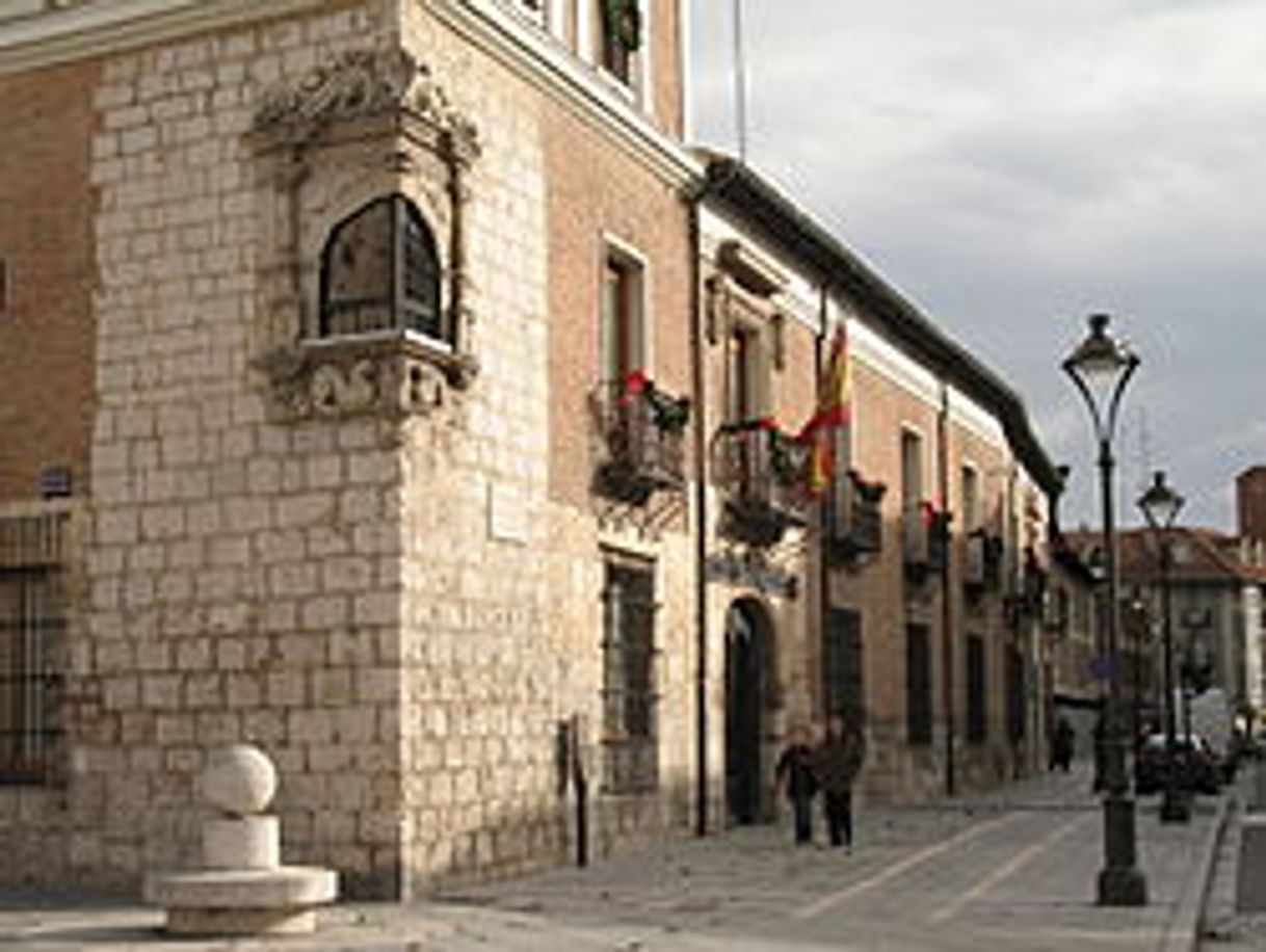 Places Palacio de Pimentel